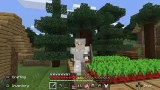 Minecraft ayrton 2