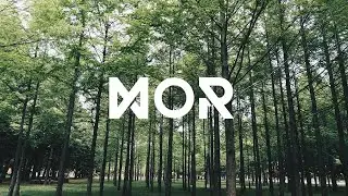 MVSIEK & SHEXPIR - Nami