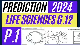 2024  PREDICTIONS  LIFE SCIENCES P.1 PRELIM EXAMS  THUNDEREDUC BY  M SAIDI  GET  A LEVEL 7