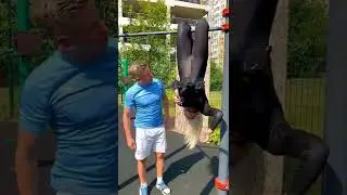 АЛЕКС НА СПОРТ ПЛОЩАДКЕ🤾🏼‍♂️🐈‍⬛😃МОЖЕТ ТЫ ЗНАЕШЬ, КАК❓🦇😜