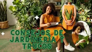 CONSEJOS y TRUCOS de JARDINERÍA desde principiantes hasta expertos