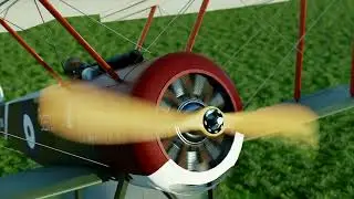 1916 Sopwith Pup 'Betty' Animation