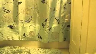 ASMR Shower Sounds