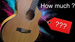 A Budget Guitar Review