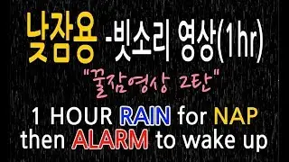 🎧 [낮잠꿀잠]1시간 숙면 빗소리 ASMR+마지막1분 알람 깨우기! !🎧 Gentle Rain Sounds at Night-Relaxing Sleep 🎧 HD