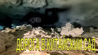 Сеноты Мексики: Под Водой и За Пределами