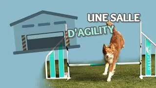 ON LOUE UNE SALLE D'AGILITY AVEC OWEN !