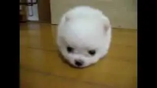 Собрался спать :3