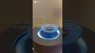 🇪🇸 Фабрика MEGA Estrella Galicia – для ценителей пива!