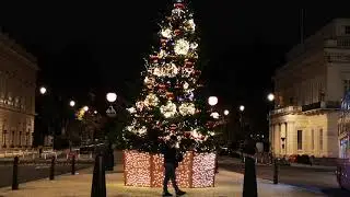Merry Christmas Aesthetics