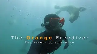 The Orange Freediver - The Return to existence