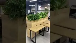 Зеленые перегородки