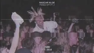 NASCAR ALOE — PISSED OFF PT. 2 [P. Nascar Aloe & Vilex]
