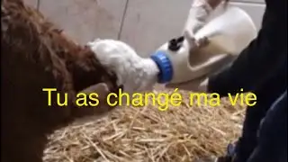 Elle a fait de ma vie quelque chose