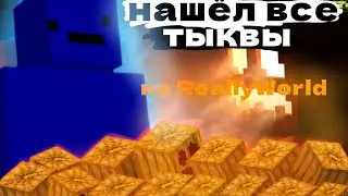 Нашёл все тыквы на ReallyWorld