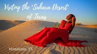 Monahans Sandhills State Park | The Sahara Desert of Texas