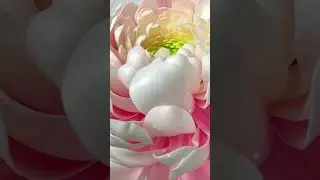 Давайте притягивать весну🌺