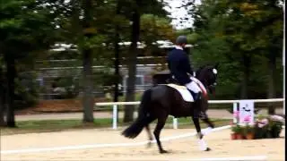 OÖ. Reitpferdechampionat 2015