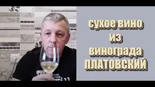 Dry wine from PLATOVSKY grapes! Wine from CARTAGENA grapes!