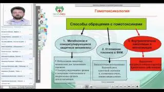 Гомотоксикология. Дренаж и детоксикация. Сушков А.Л.
