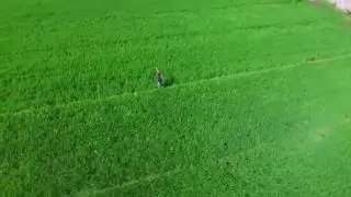 Point of Interest DJI Phantom 3 4K