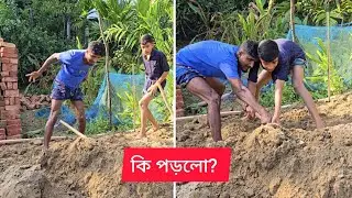 কি এখানে? #shortsvideo