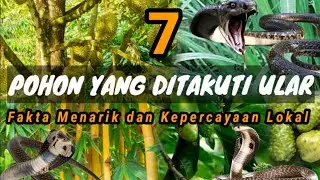 7 Pohon yang Ditakuti Ular: Fakta dan Kepercayaan Unik di Baliknya