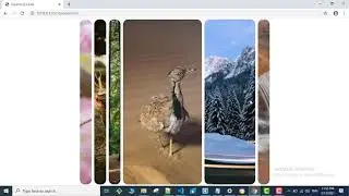 Create expanding cards using CSS and JavaScript