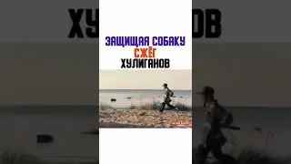 Защищая собаку сжёг хулиганов