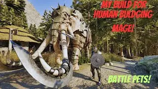 Mortal Online 2 Human Buldging Mage Build