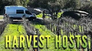 Joe's Van Life Schwaesdall Winery Harvest Hosts