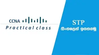 spanning tree protocol - in sinhala | STP
