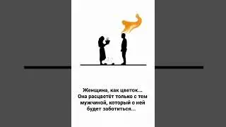 28 мая 2024 г.
