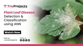 Plant Leaf Disease Detection & Classification using ANN