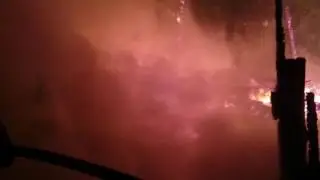 26 ноября 2016 г.