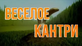 Веселое кантри