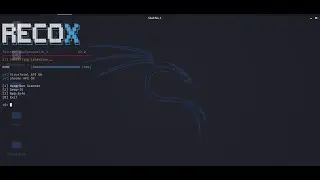 Menggunakan Tool RecoX untuk Web Reconnaissance