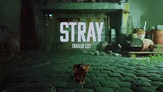 STRAY | Trailer cut