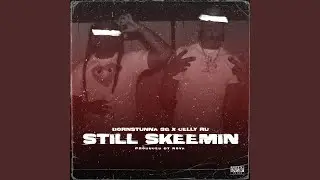 Still Skeemin