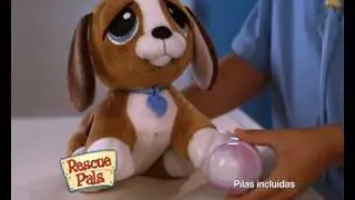 Perrito cuidaditos.avi