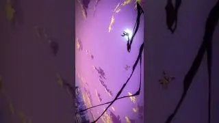endeavor vs nomu