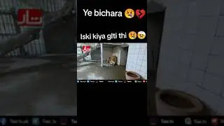 bechara sher