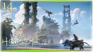 Путь в Сан-Франциско... Horizon Forbidden West