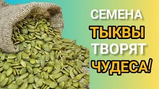 Мало Кто Знает! ЧТО Творят ТЫКВЕННЫЕ СЕМЕЧКИ, даже несколько ШТУК