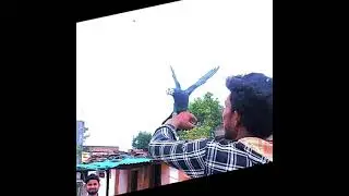 Bird status @kundan date
