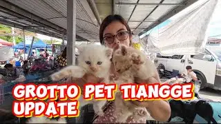 Bagsak presyo mga dalang pet sa grotto pet tiangge