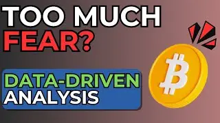 Bitcoin: Is the FEAR Justified or Overblown? A Data Science Analysis