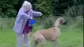 Gassi gehen mal anders