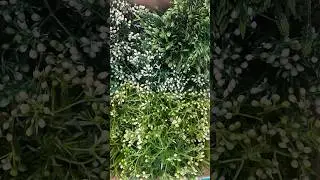 Более 40 новинок ЧИЖИК ПРИВЁЗ 