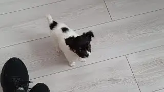 Милашка🥰😁😅  Sweetie